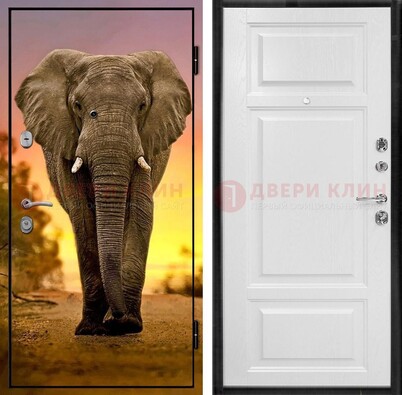 Металлическая дверь с фотопечатью слона ДФ-30 в Черноголовке
