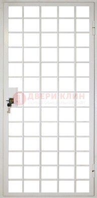 Белая металлическая решетчатая дверь ДР-2 в Черноголовке
