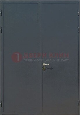 Двухстворчатая техническая дверь ДТ-5 в Черноголовке